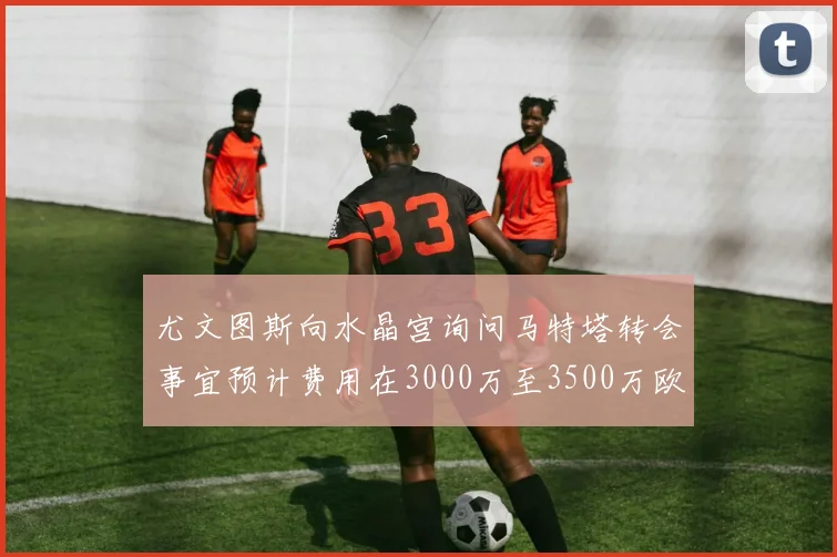 尤文图斯向水晶宫询问马特塔转会事宜预计费用在3000万至3500万欧元之间