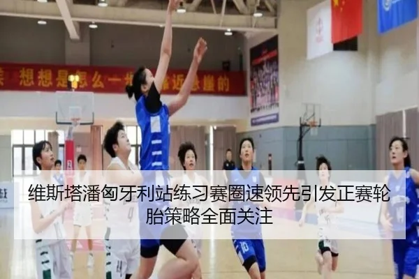 维斯塔潘匈牙利站练习赛圈速领先引发正赛轮胎策略全面关注 | ayx.com